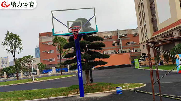 學校籃球架廠家
